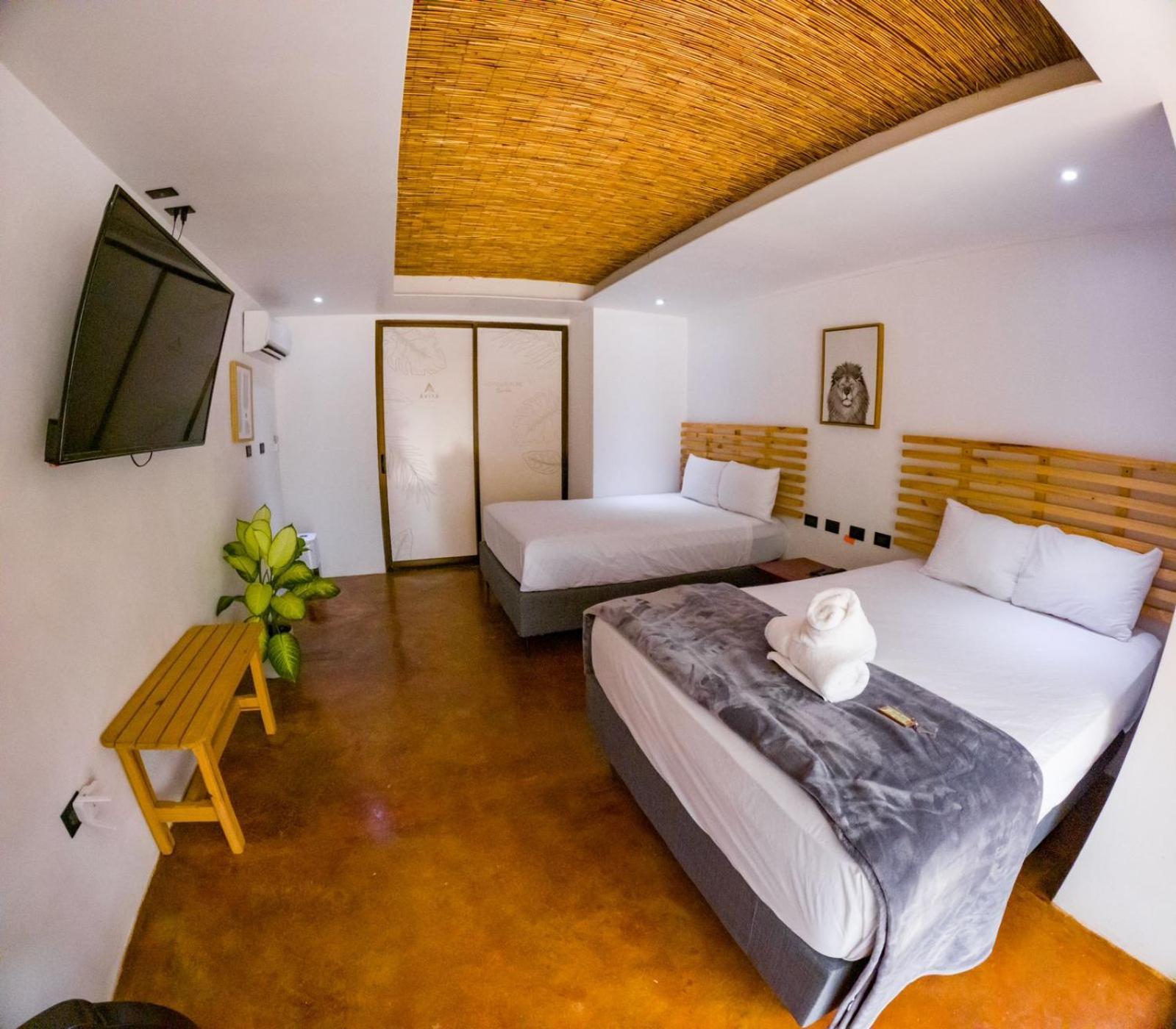Avita Lodge Quesada  Extérieur photo